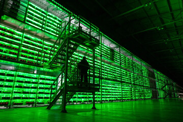 مسیر ماینرها با کاهش سود سبز شد