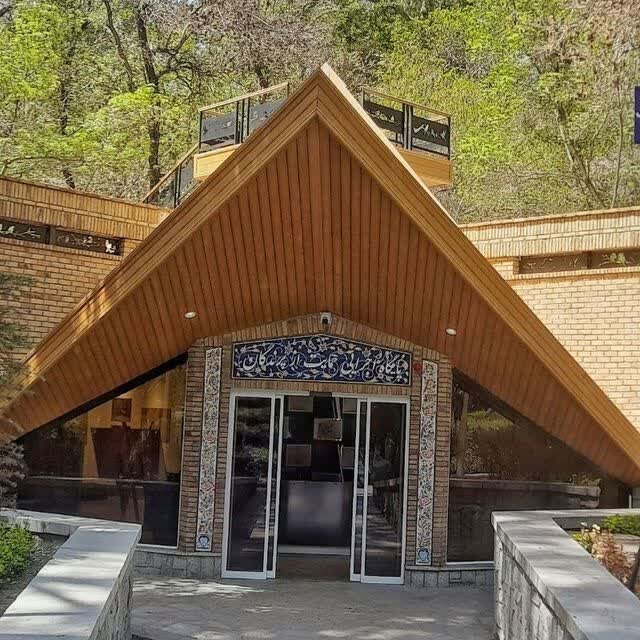 «مینا» پرندهای مهاجم؛ تهدیدی برای پرندگان بومی مشهد