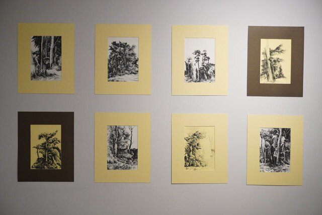 «شاهدان طبیعت»؛ روایت نوجوانان هنرجو از مواجهه با طبیعت و مناظر شهر مشهد