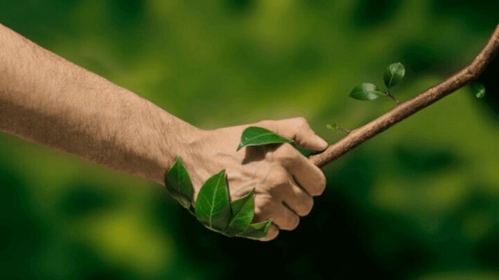 ضرورت توجه به «مصرف‌گرایی سبز» در تجربه گردشگری