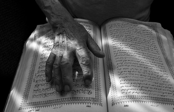 زبان عربی؛ از همزیستی تاریخی تا جنبههای زیباشناختی