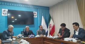 اشباع برخی حوزه‌های مشاغل خانگی / تلاش برای تهیه اطلس ملی اشتغال کسب‌وکار