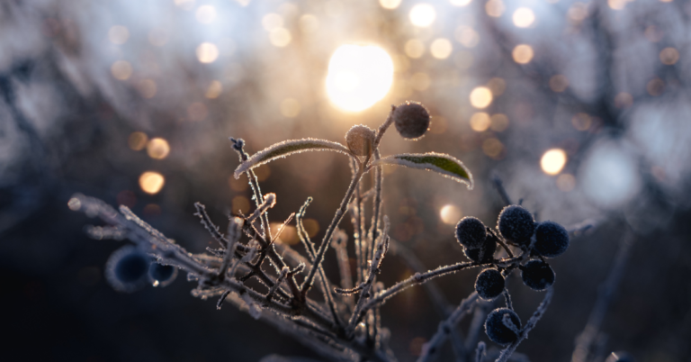 مراسم انقلاب زمستانی در برخی کشورها