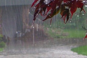 بارشهای قابل توجهی در ایلام خواهیم داشت/در بر