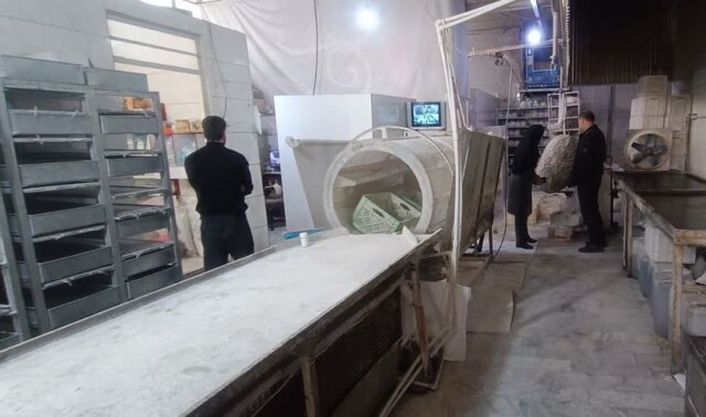 کشمش کاشمر؛ برند ماندگار باغهای ترشیز در مسیر توسعه صنعتی و صادراتی