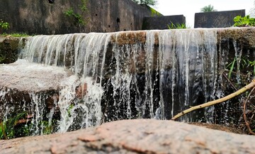 راهکارهای مبتنی بر طبیعت در مدیریت آب