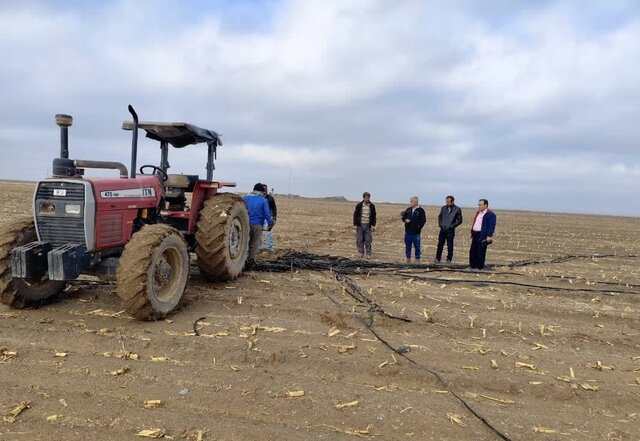 جمعآوری نشدن نوارهای تیپ، چالشی جدی برای محیطزیست و اکوسیستمهای کشاورزی