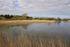 حفاظت از تالاب‌ها، حفاظت از حیات