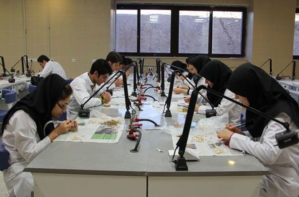 تجاریسازی؛ گمشده اکوسیستم نوآوری در خراسان