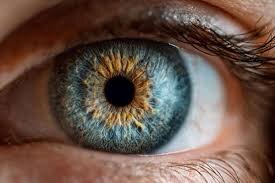 امیدی به بازیابی بینایی با کشف جدید