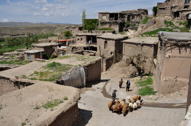«چوپانی» نه فقط یک شغل، بلکه یک هنر و سبک زندگی است