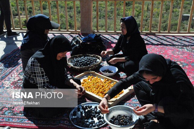 وضعیت اشتغال بانوان کوهسرخ در سایه زیرساخت‌های ناقص اما امیدوار به آینده‌