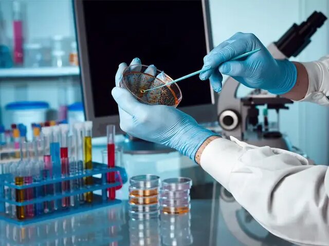 ۳ سرطان شایع در شهرستان مه‌ولات تحت پوشش برنامه‌های غربالگری قرار گرفت