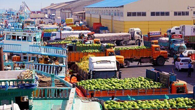 وابستگی به واردات محصولات غذایی، اقتصاد ملی را در معرض فشارهای خارجی قرار می‌دهد