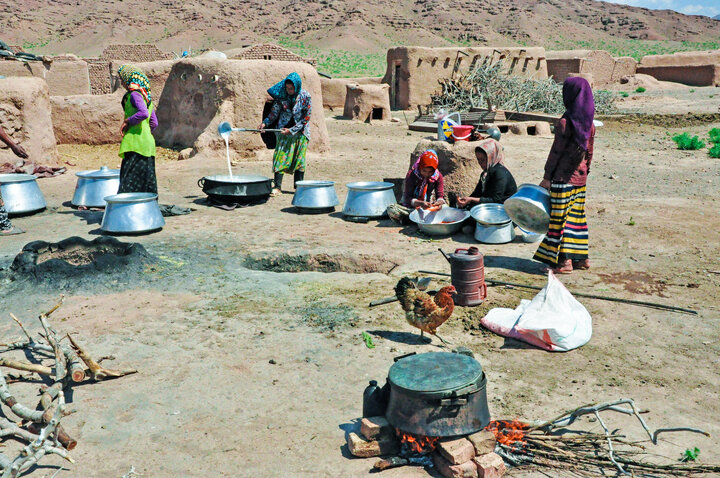 آیین شیردوشی، نبض زندگی روستایی و میراث فرهنگی خراسان رضوی