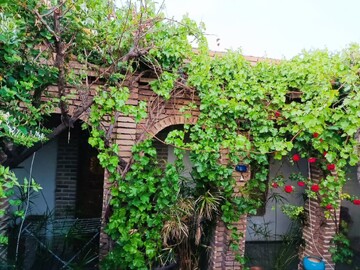 درختی که اصالت معماری را به خانه‌های قدیمی‌ترین روستای گلی ایران باز می‌گرداند
