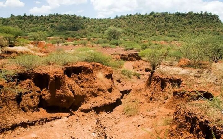 خشکسالی پدیده منفی نیست/ترسالی در بلندمدت فرسایش بیشتری دارد