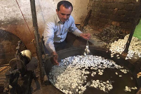 فرماندار: بیش از ۷۵ درصد نخ ابریشم مورد نیاز کشور در تربت‌حیدریه تولید می‌شود