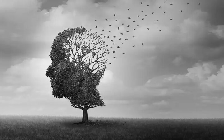 ۳ سرنوشت کاملا متفاوت در انتظار بیماران مبتلا به آلزایمر