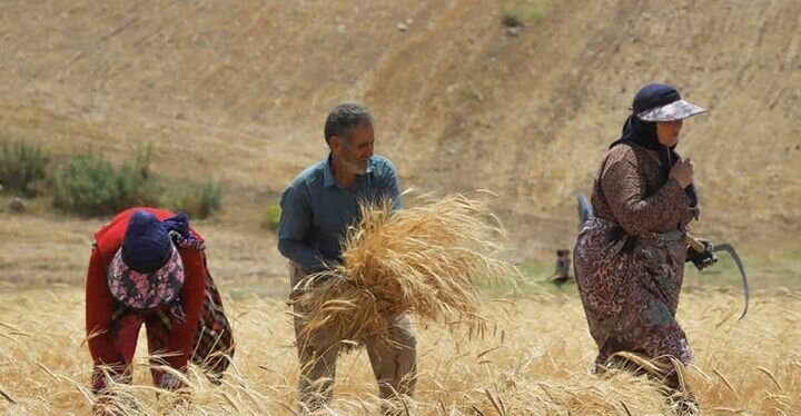 از قرارهای عاشقانه تا روایت نان، باران و رنجهای پنهان در دل تاریخ براکوه