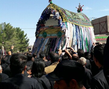نخل‌بندان؛ پیوند سرو سرافراز با باورهای قدسی در قلب بجستان