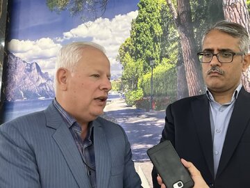 معاون جهاد کشاورزی استان: ۷۰۰ هزار تن گندم در خراسان رضوی برداشت می‌شود