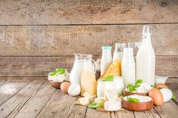 شیر در دو راهی سلامتی و خطر