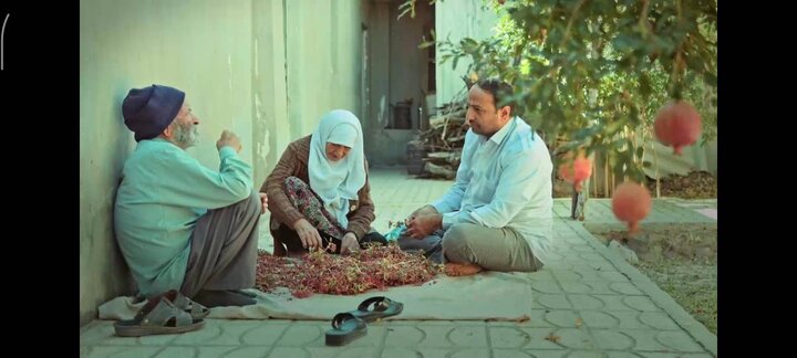 سینمای مستند؛ ابزاری قدرتمند برای به اشتراک گذاشتن دغدغههای فردی و خلق تجربیاتی اثربخش