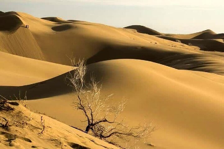 قیامت گرد و غبار؛ پایان عمر شهرهای خراسان فرا رسید؟