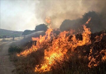 جنگل‌های ارمند در شهرستان خانمیرزا طعمه حریق شد