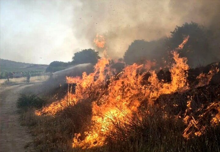 مرگ سیاه در دشتهای خراسان