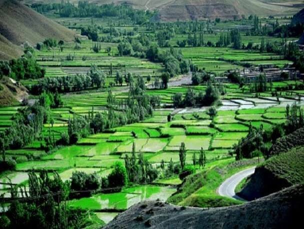 کلات؛ پیشگام در کشاورزی پایدار و آبزیپروری