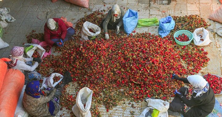 بیزه قرمزترین مقصد گردشگری ایران