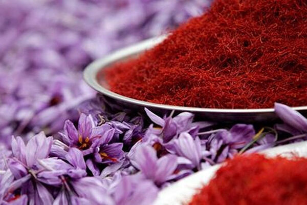 زعفران طلای سرخ ایران؛ در میانه رنج برداشت و التهاب بازارهای جهانی