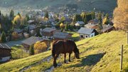 خشکسالی به کشاورزان سوئیس رسید