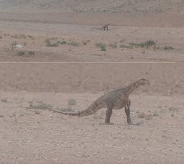 مشاهده دایناسور در مناطق بیابانی خراسان رضوی تکذیب شد