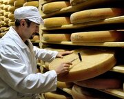 قوانین تولید پنیر در فرانسه تغییر کرد