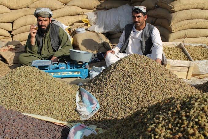 ورود کشمش وارداتی از افغانستان به چرخه فرآوری و بسته‌بندی محصولات بومی ممنوع