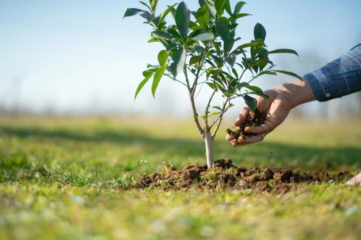 وقف علمی؛ ظرفیتی برای حمایت از پژوهش و رفع نیازهای آموزشی جامعه