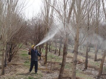 سموم کشاورزی؛ تهدیدی بی‌صدا برای سلامت خانواده‌های روستایی