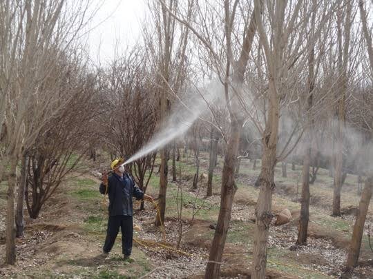 سموم کشاورزی؛ تهدیدی بی‌صدا برای سلامت خانواده‌های روستایی