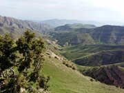ارزش تندوره در طبیعت بکر و حیات‌وحش آن است/غذای رهاشده گردشگران؛ عامل تغییر رفتار جانوران