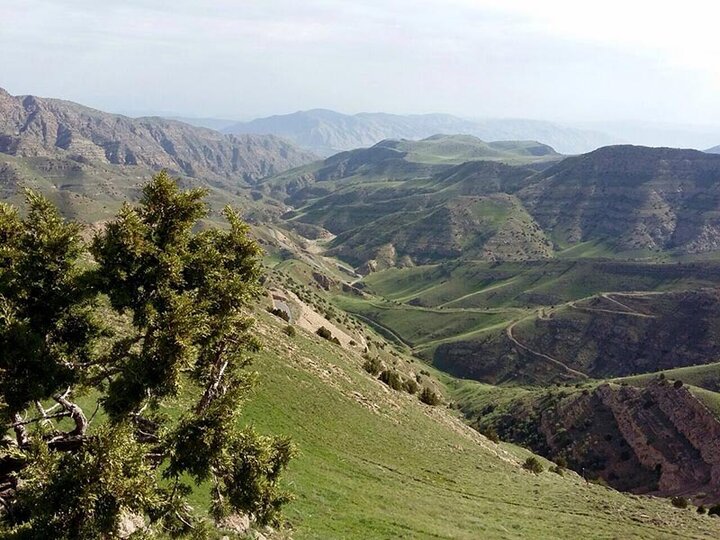 ارزش تندوره در طبیعت بکر و حیات‌وحش آن است/غذای رهاشده گردشگران؛ عامل تغییر رفتار جانوران