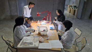 ثبت بیش از ۲۱ هزار شیء تاریخی خراسان رضوی در سامانه جام