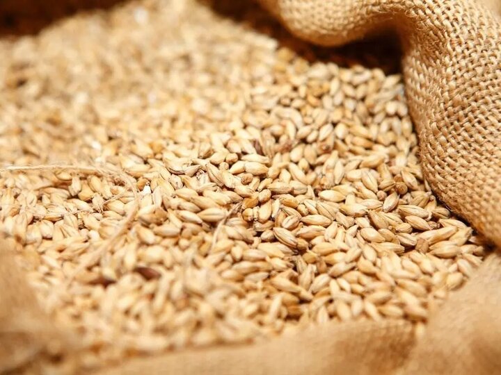 کاهش مواد مغذی غذاها؛ چالش جدید داروهای لاغری