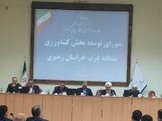 رئیس سازمان جهاد کشاورزی استان:سبزوار یک منظومه کشاورزی با فرصت‌های بی‌شمار سرمایه‌گذاریست