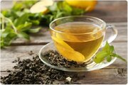 عصاره چای سبز به چربی‌سوزی هنگام ورزش کمک می‌کند؟