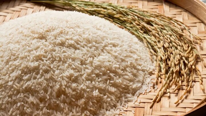 جهش قیمت برنج باسماتی هند با رونق تقاضای صادراتی