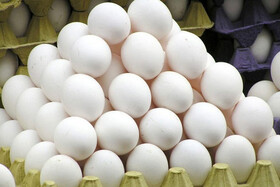 فروشندگان باید تخم‌مرغ را بر اساس وزن عرضه کنند