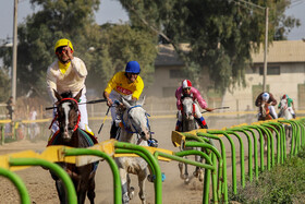 مسابقات اسب اصیل عرب کشور در اهواز